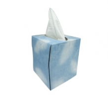 Boutique Facial Tissue